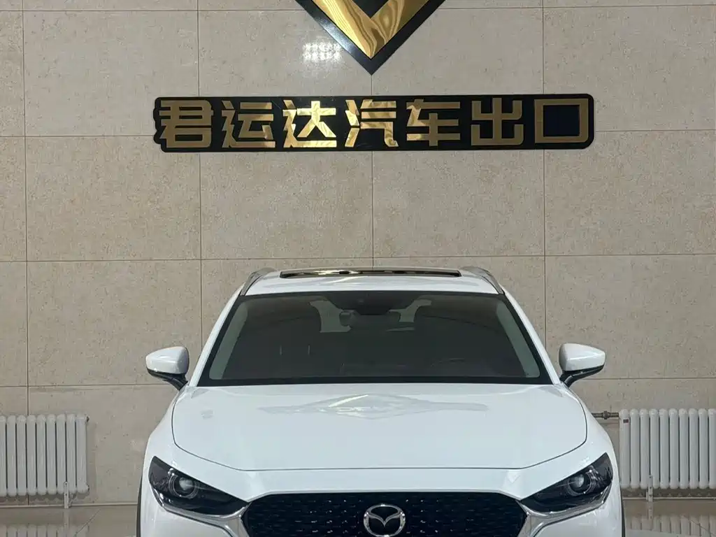Купить Mazda CX-30
