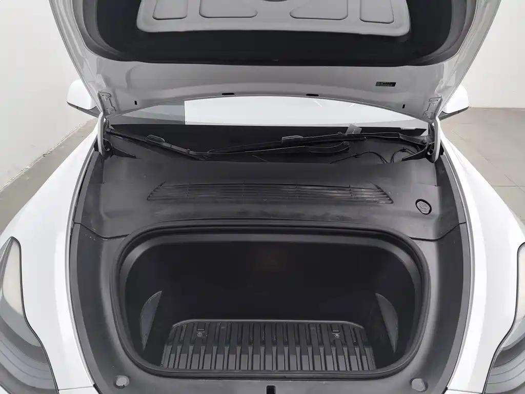 Tesla Model Y — миниатюра 6