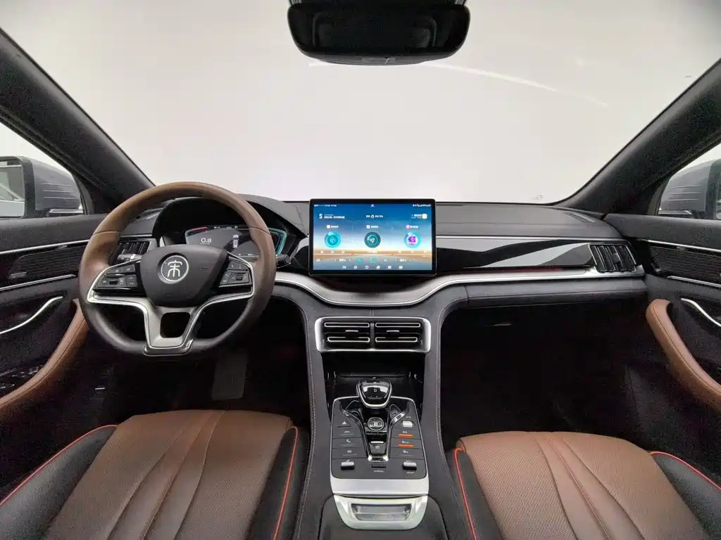 BYD PLUS — миниатюра 5