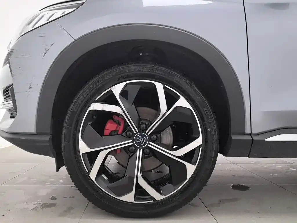 BYD PLUS — миниатюра 17