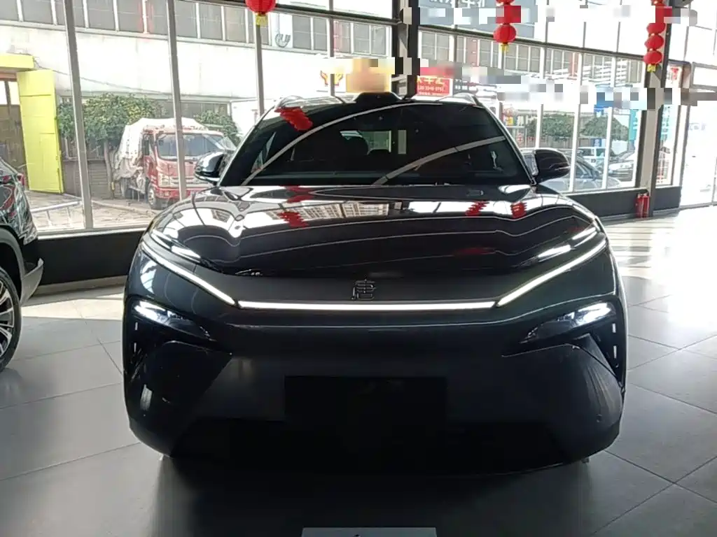BYD Дон Л. — миниатюра 3