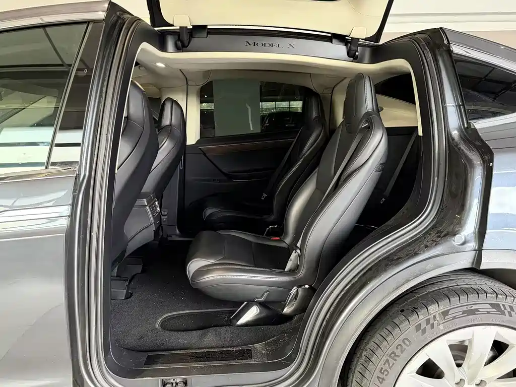 Tesla Model X — миниатюра 6