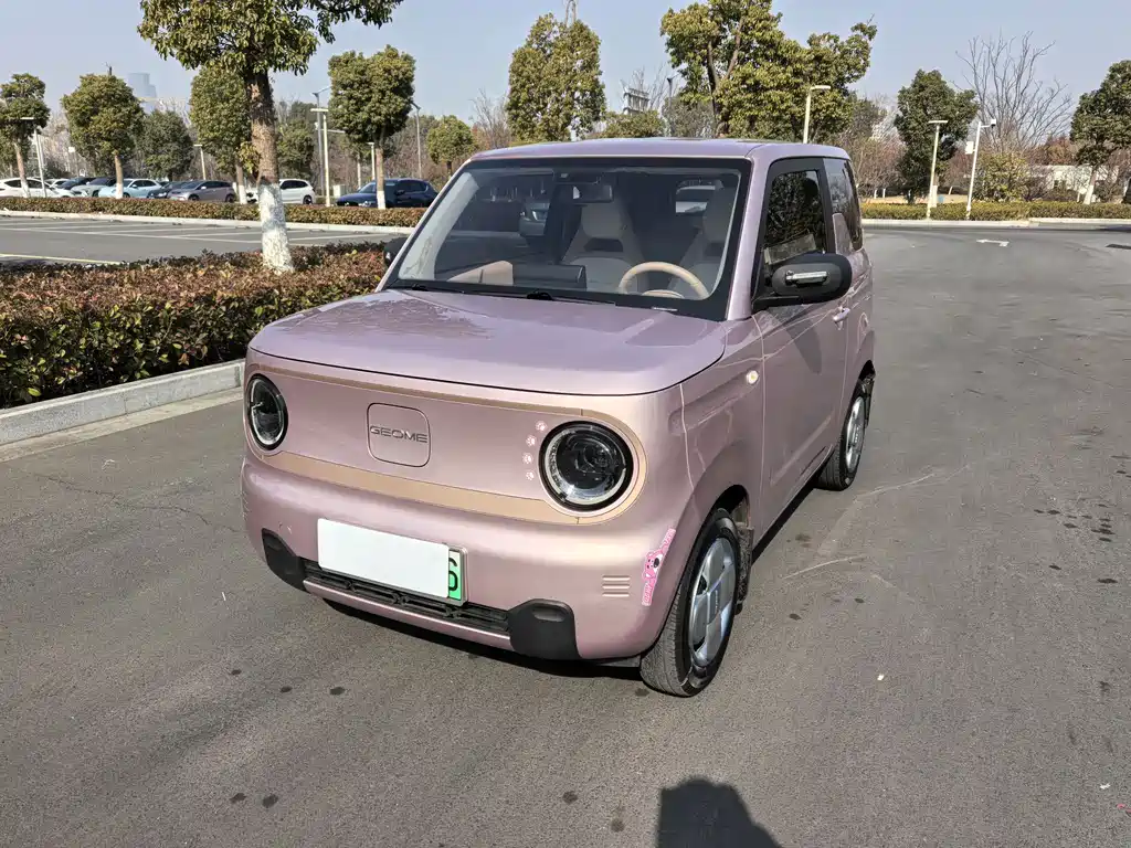 GEELY GALAXY PANDA