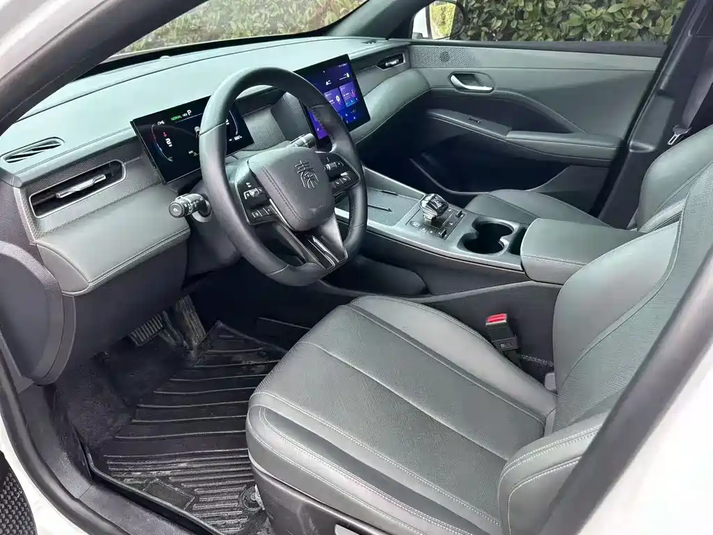 BYD Qin Plus PLUS 2025 DM-i Smart Drive 55KM Lead
