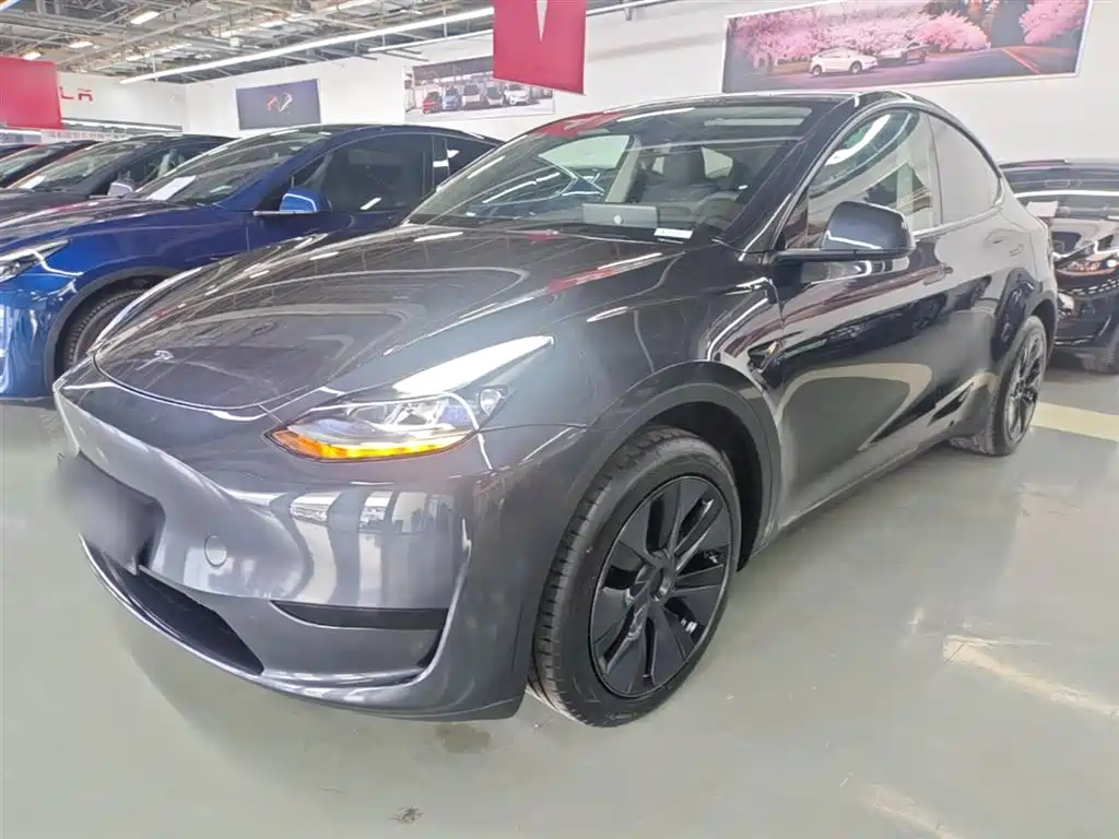 Tesla Model Y 2024