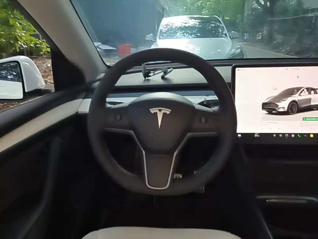 Tesla Model Y — миниатюра 11