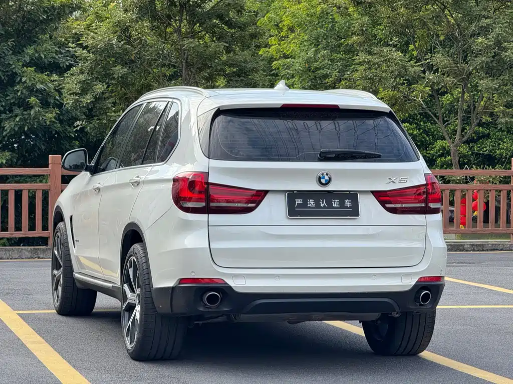 BMW X5 (Import) — миниатюра 4