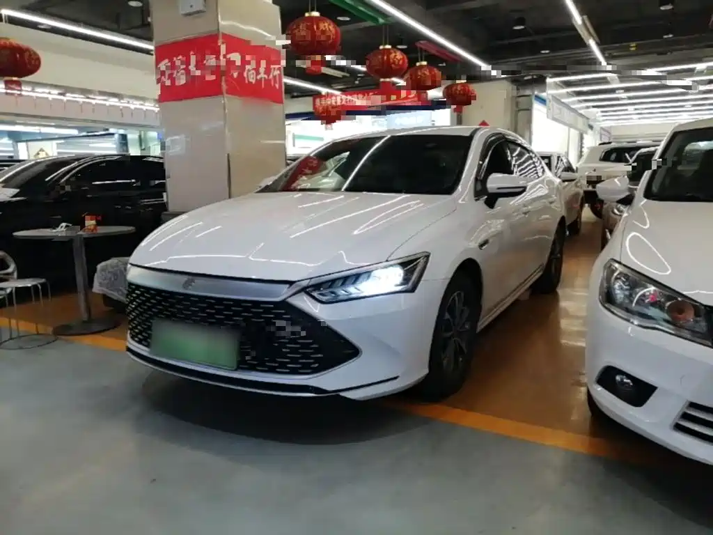 BYD Qin Plus PLUS 2024 DM-i 55KM Lead