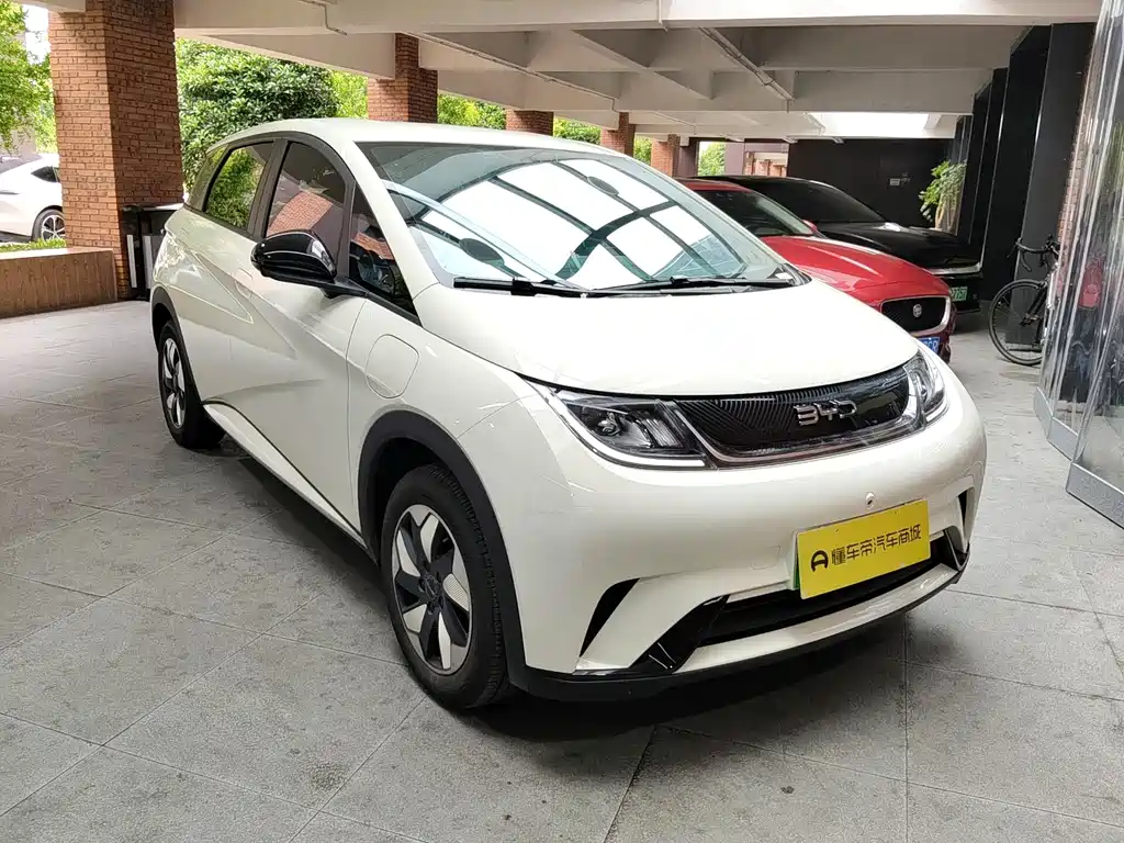 BYD Dolphin 2025 420km Freedom