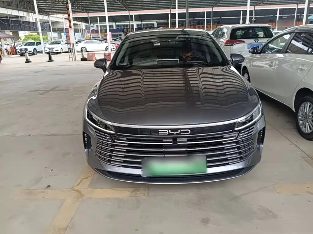 BYD Destroyer 05 2024 DM-i 55KM Luxury