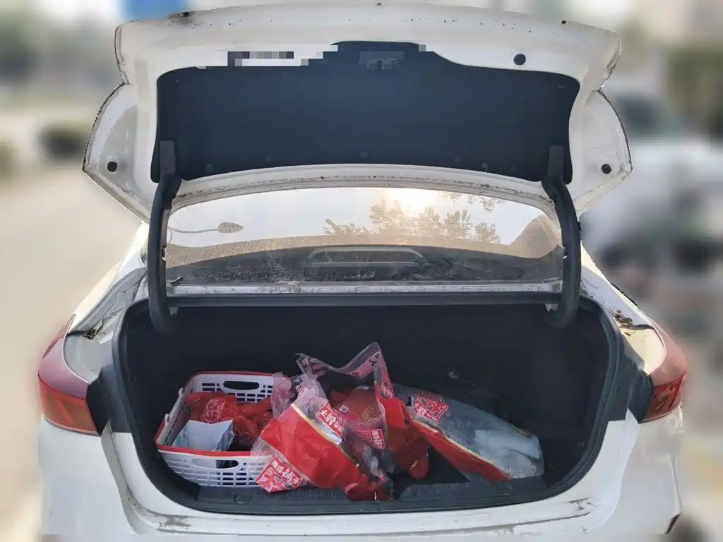 Changan Eado — миниатюра 10
