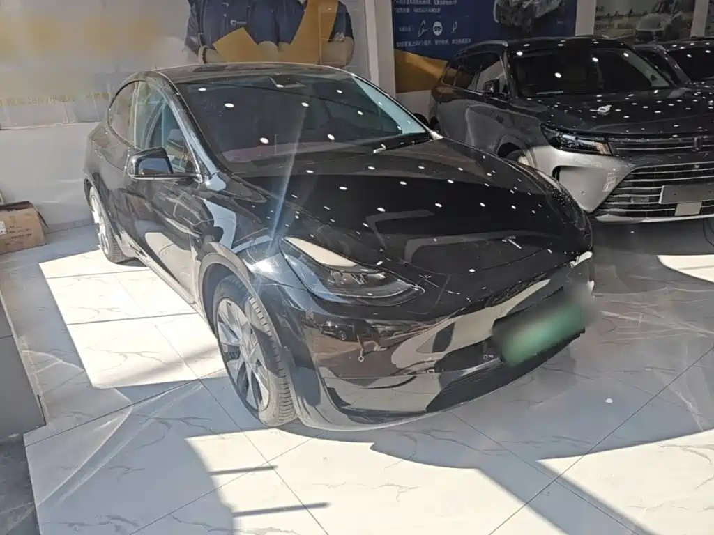 Tesla Model Y — миниатюра 4