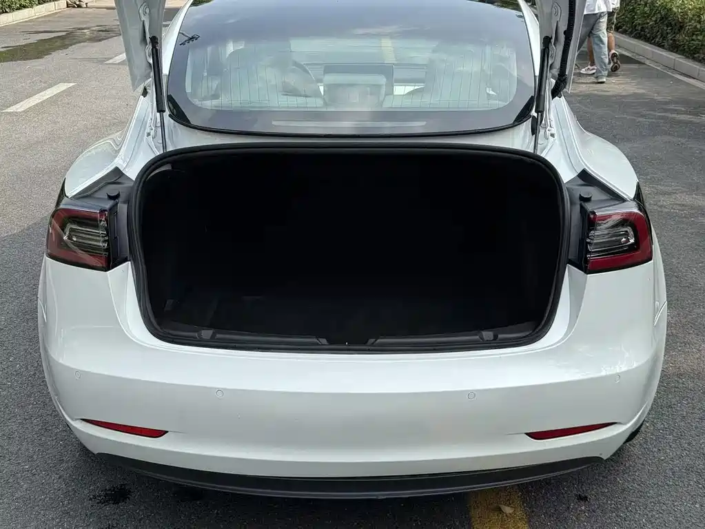 Tesla Model 3 — миниатюра 21