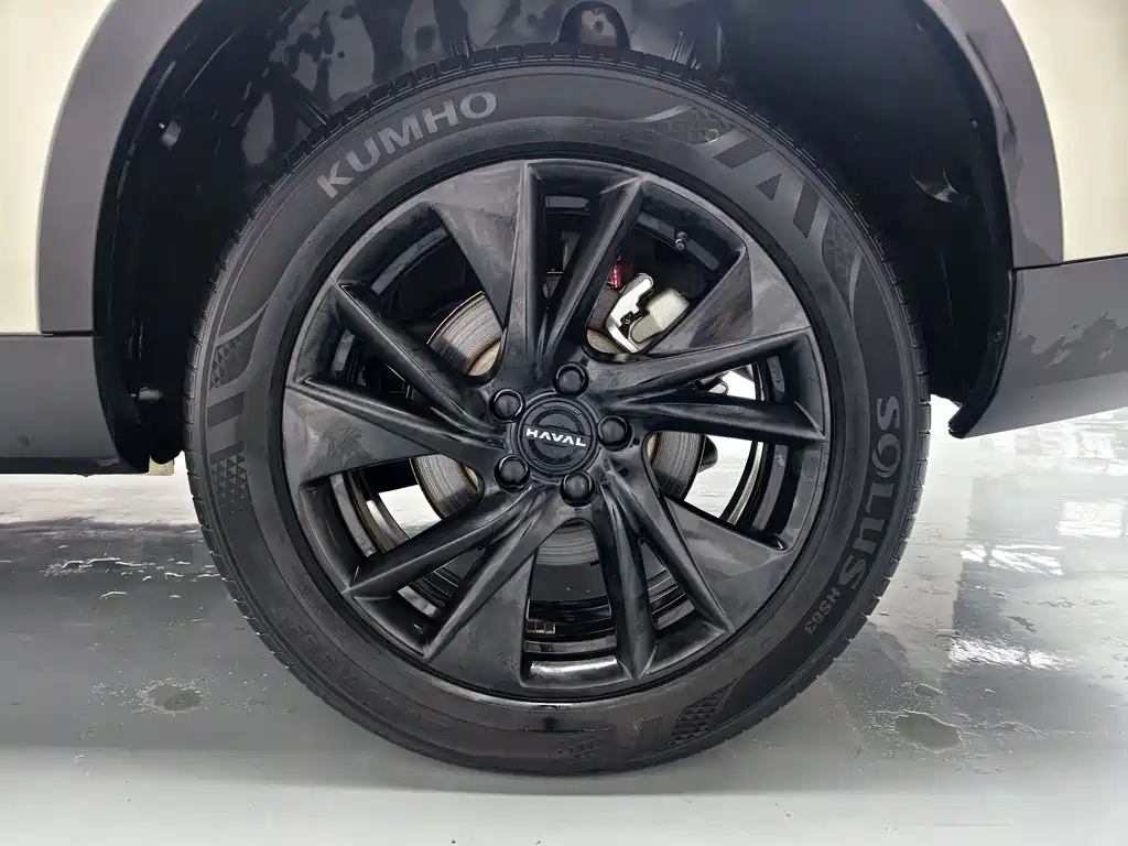 Haval H6 — миниатюра 11