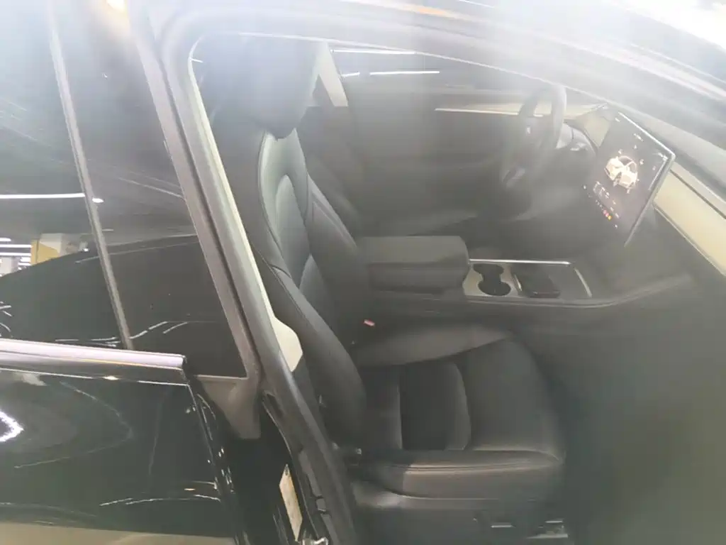 Tesla Model Y — миниатюра 25