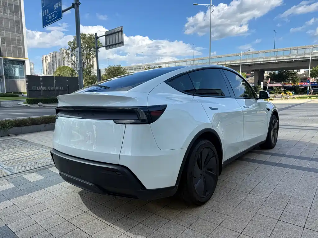 Tesla Model Y — миниатюра 12