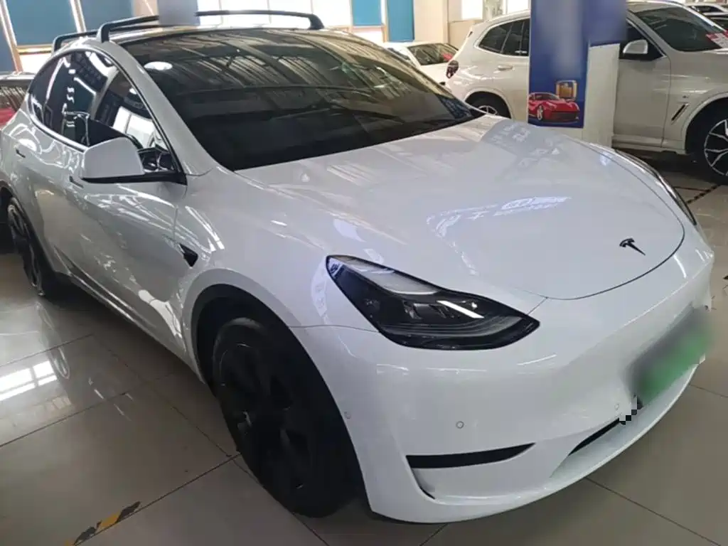 Tesla Model Y — миниатюра 4