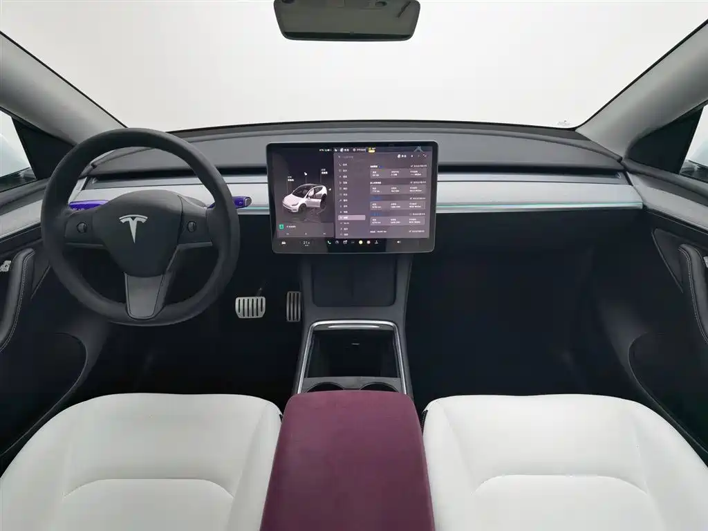 Tesla Model Y 2022 Performance