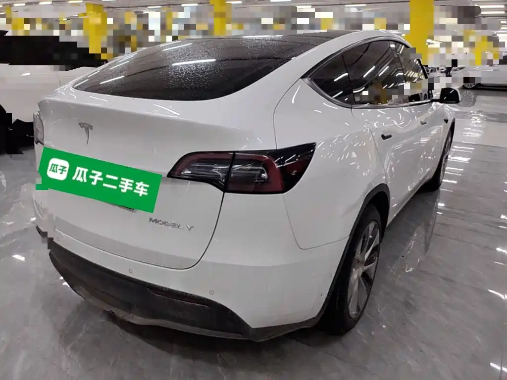 Tesla Model Y — миниатюра 7
