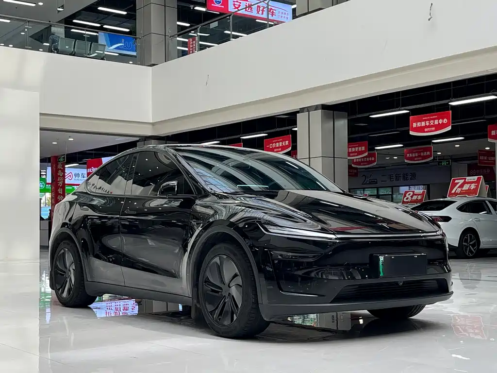 Tesla Model Y — миниатюра 3
