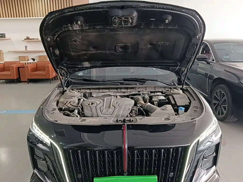 Hongqi Hongqi H5 — миниатюра 20