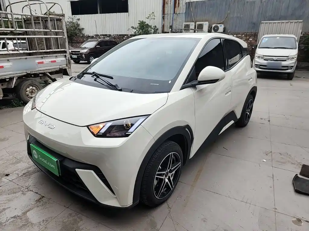 BYD Seagull 2024 Glory Edition 305km Vitality Edition