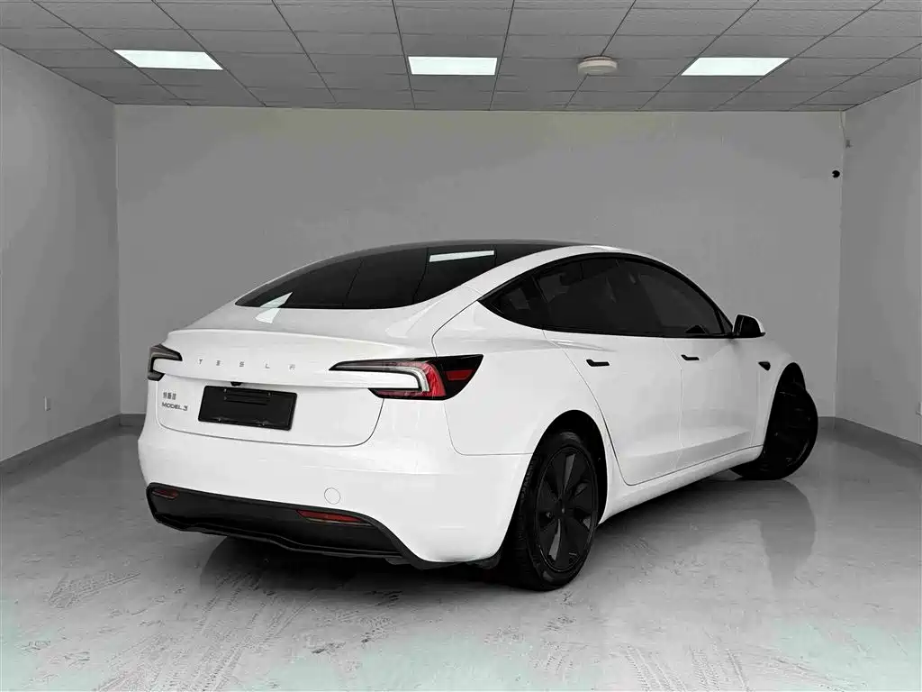 Tesla Model 3 — миниатюра 18