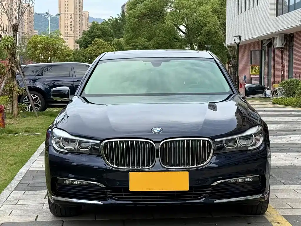 BMW 7 Series 730Li Leading Type, фото 2