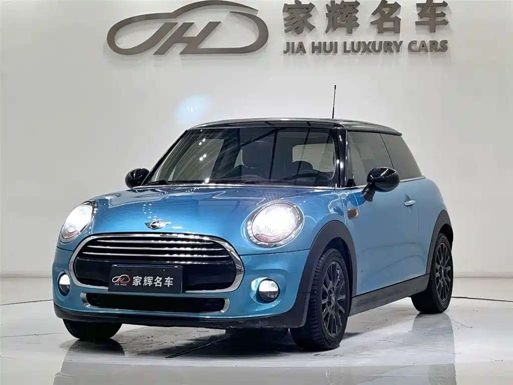 Mini Mini 2017