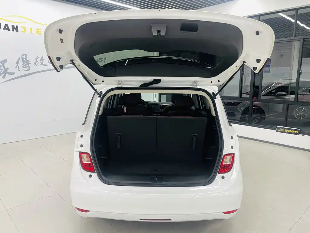 Buick GL6 — миниатюра 16