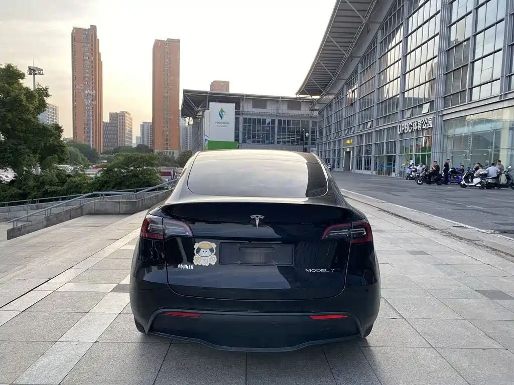 Tesla Model Y — миниатюра 5