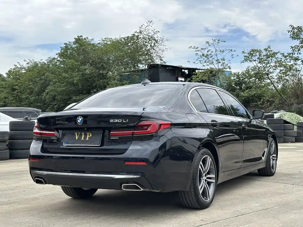 BMW 5 Series 5 2022 530Li Lead Luxury