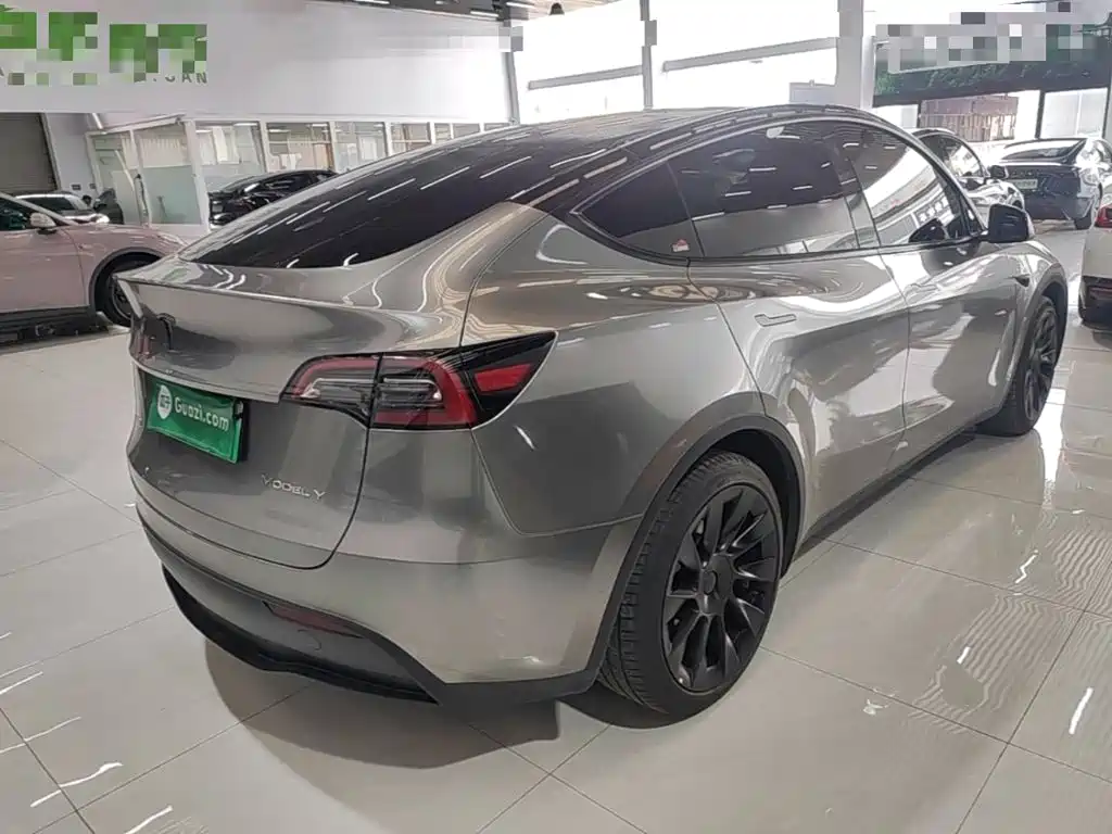 Tesla Model Y — миниатюра 7