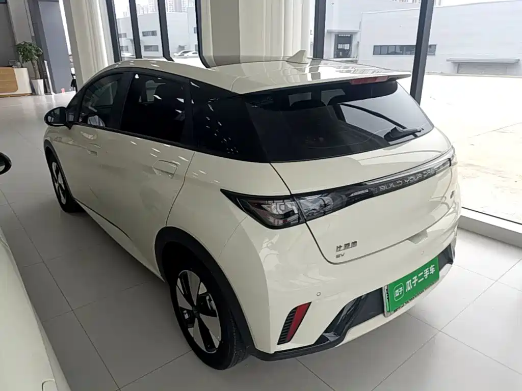 BYD Dolphin — миниатюра 5