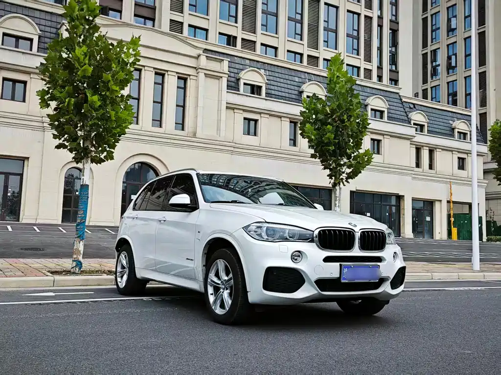 BMW X5 (Import) — миниатюра 14