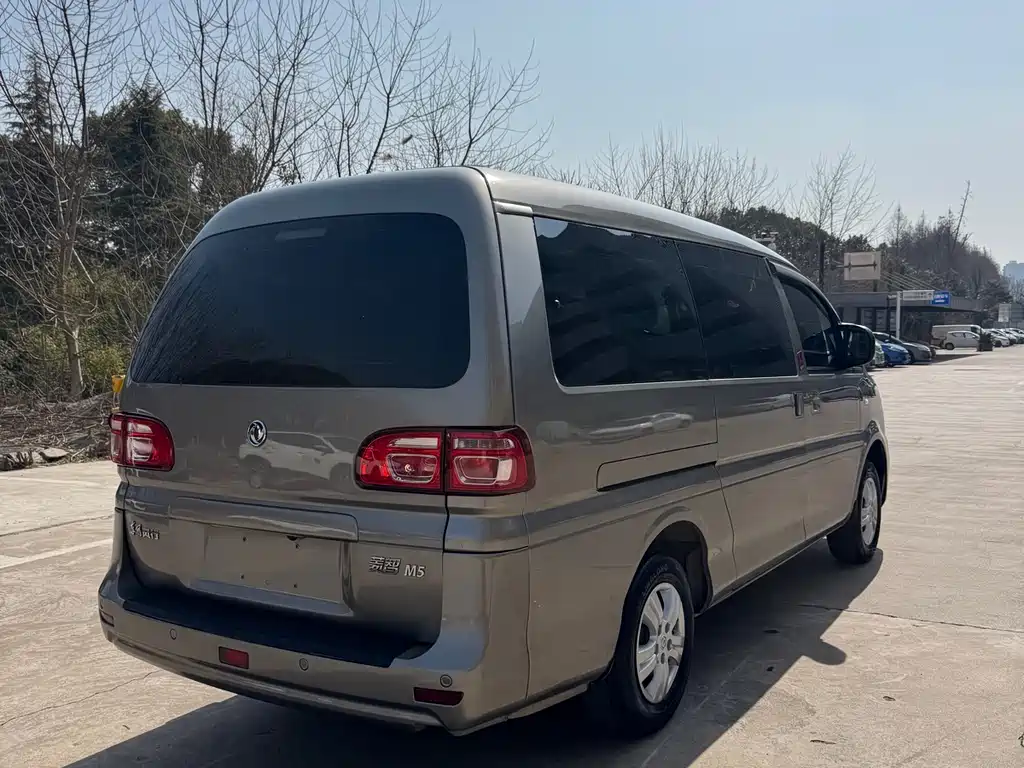 DONGFENG LINGZHI