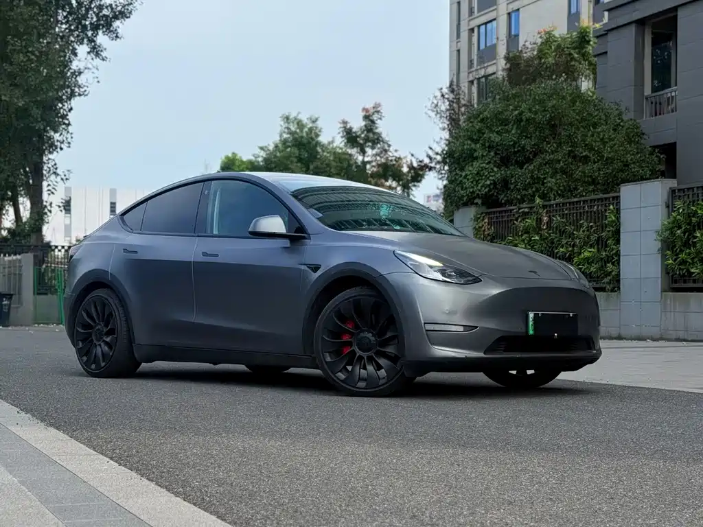Tesla Model Y — миниатюра 2