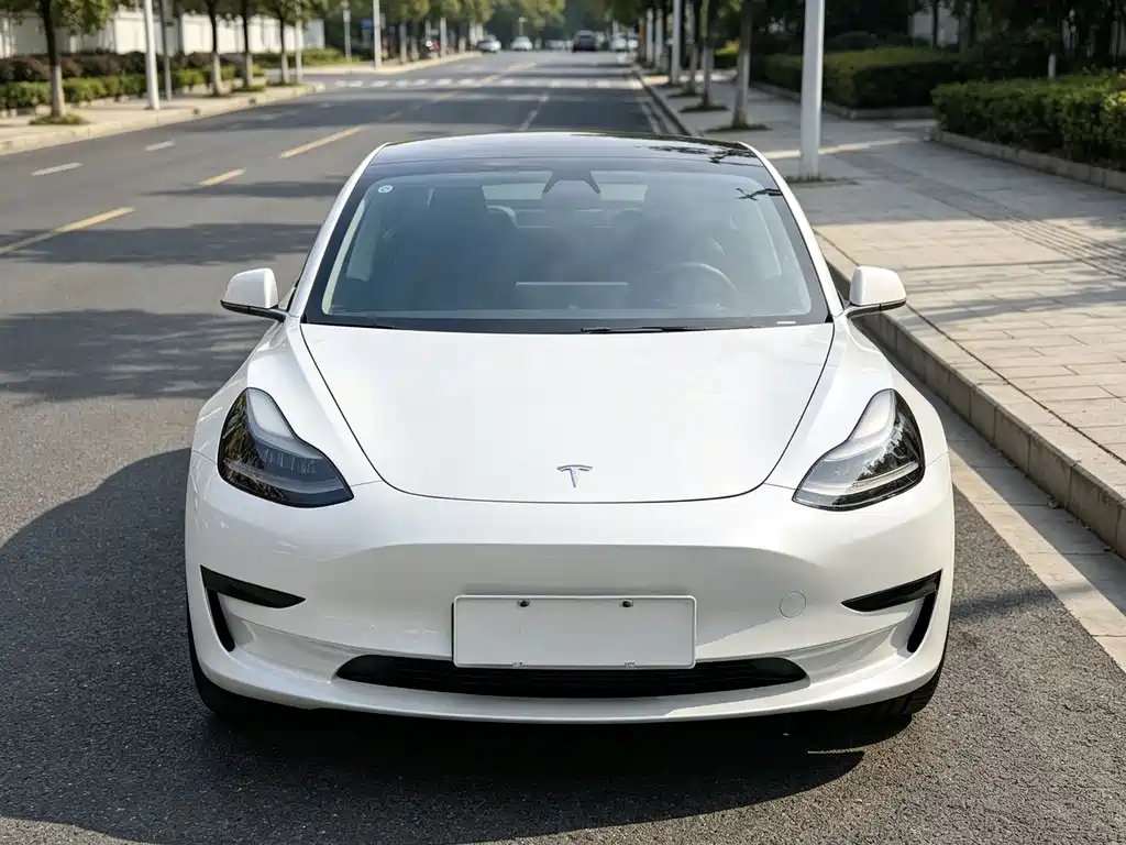 Tesla Model 3 — миниатюра 2