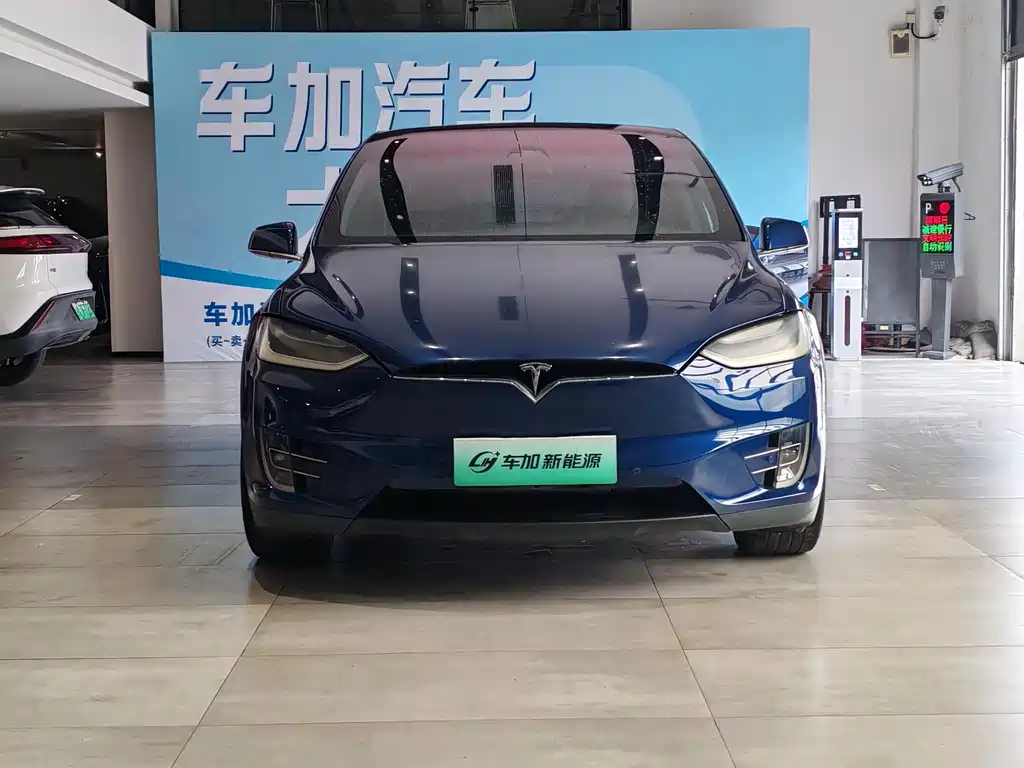 Tesla Model X — миниатюра 2