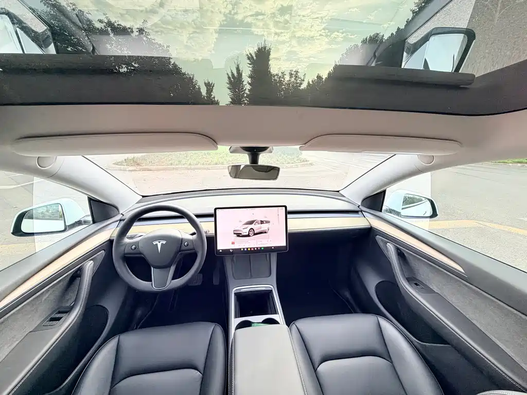 Tesla Model Y — миниатюра 9
