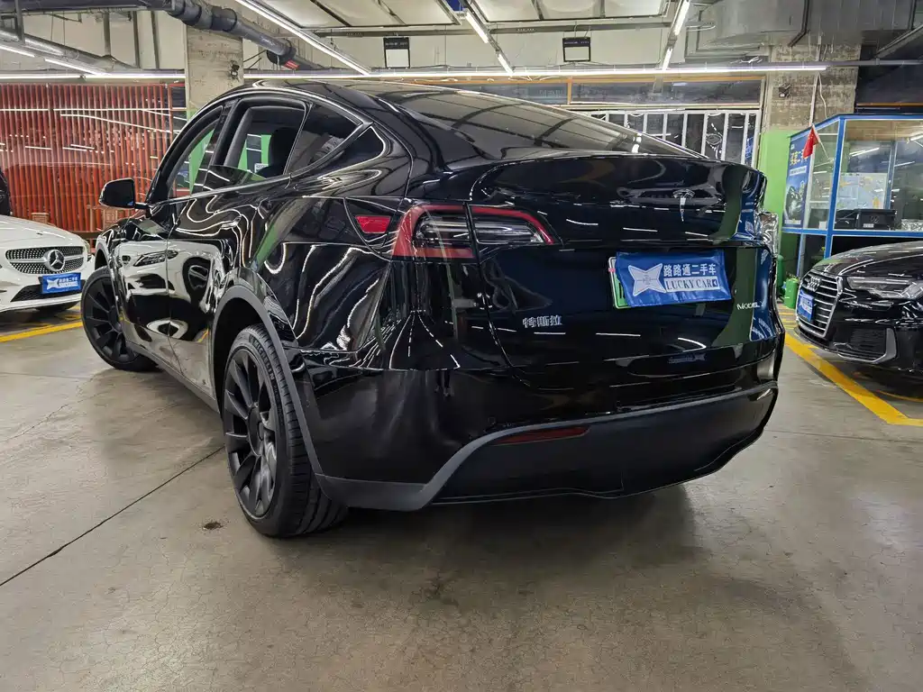 Tesla Model Y — миниатюра 4