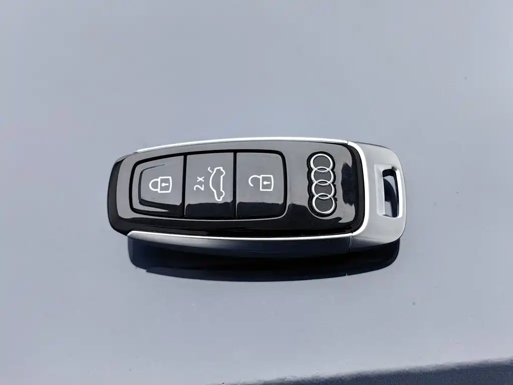 Audi e-tron (Import) — миниатюра 19