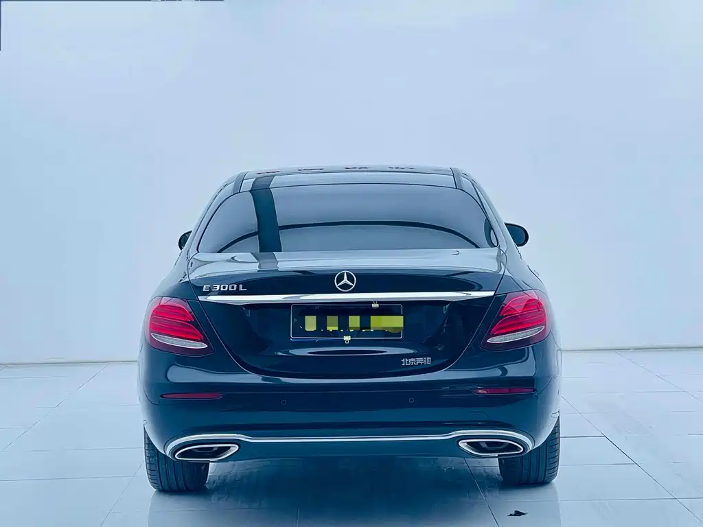 Mercedes-Benz E-Class E 2019 E 300 L Luxury
