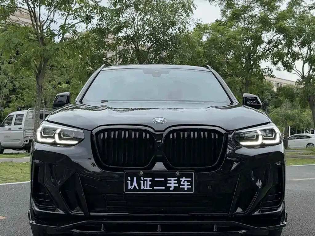 BMW X3 — миниатюра 2