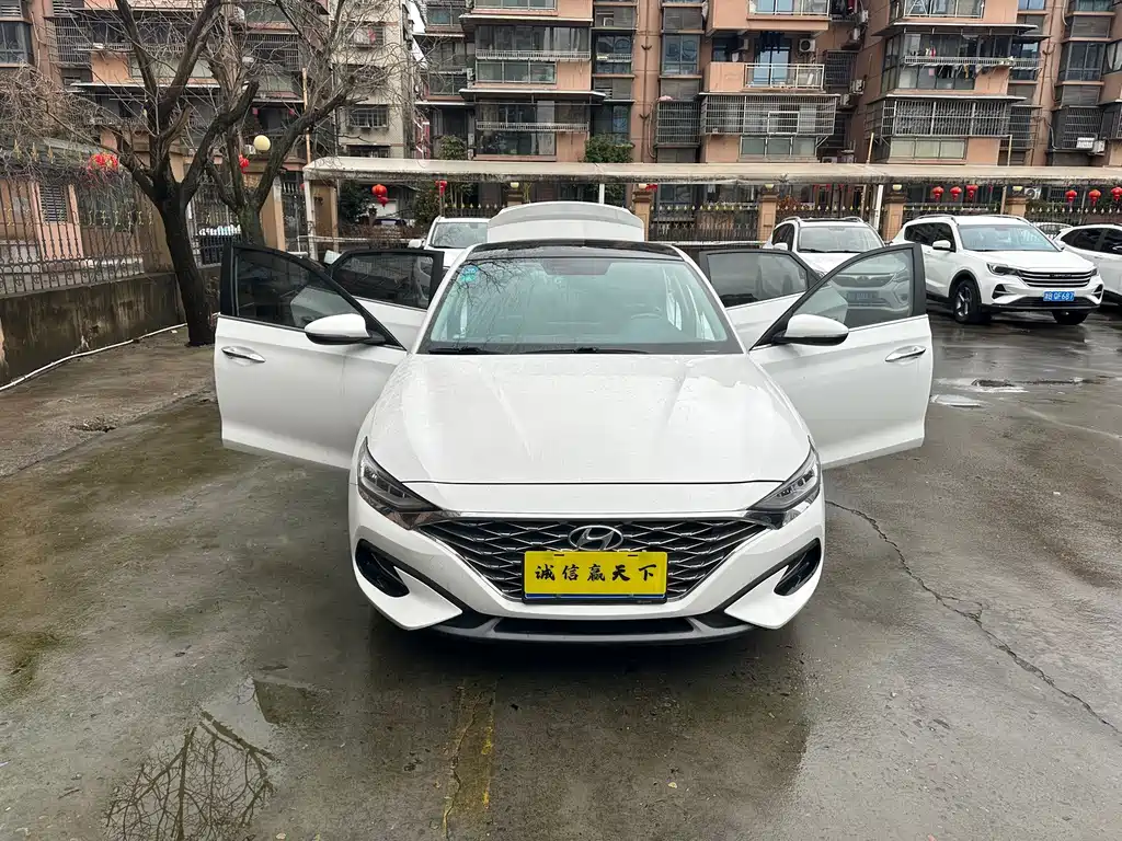 Hyundai Fista — миниатюра 8