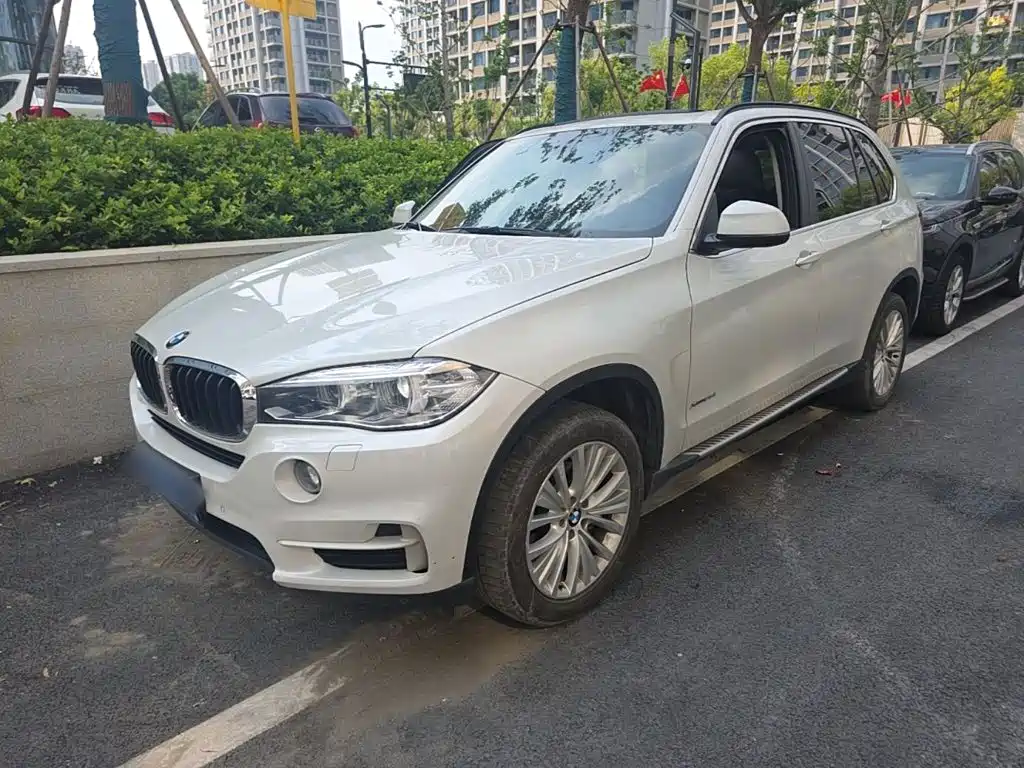 BMW X5 (Import) — миниатюра 2