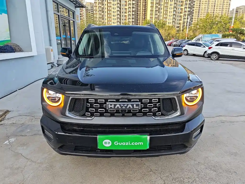 Haval Big Dog PLUS New Energy — миниатюра 3