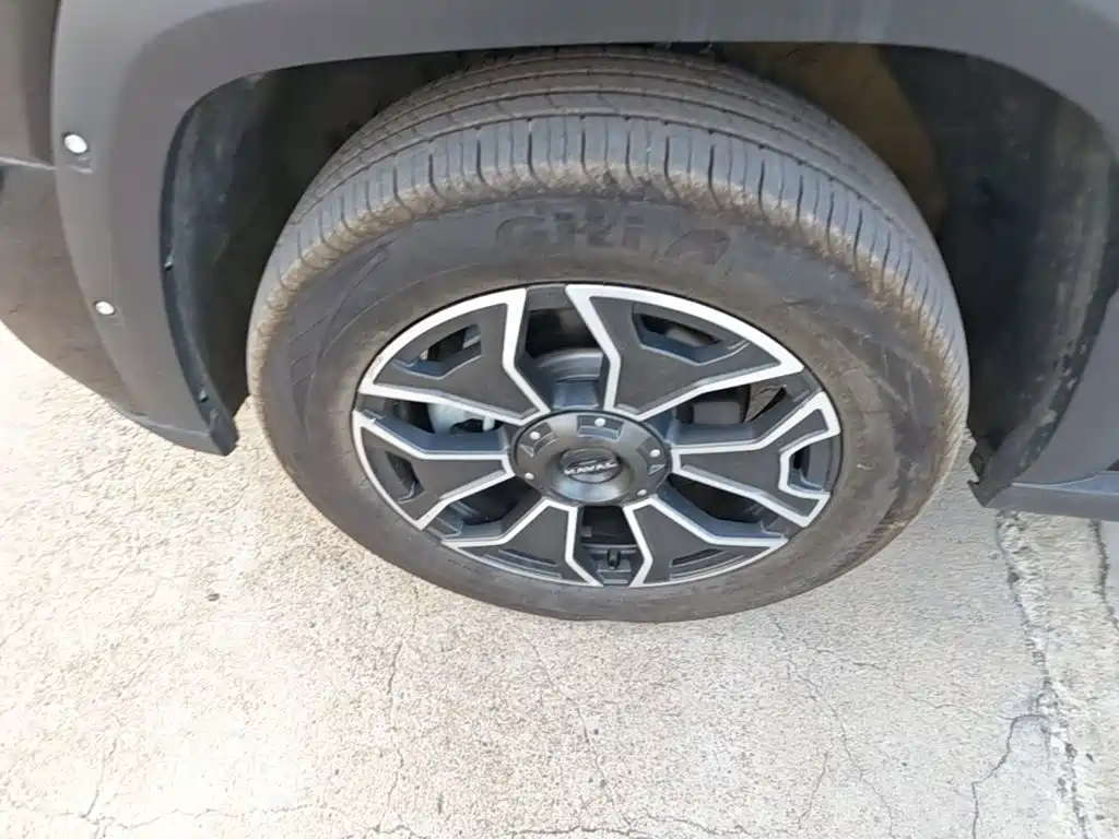 Haval Big Dog PLUS New Energy — миниатюра 23