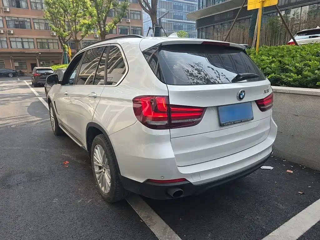 BMW X5 (Import) — миниатюра 5