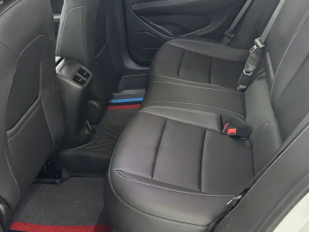 Buick Regal — миниатюра 14